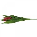 Floristik24 Bromeliad sztuczny różowy Sztuczny kwiat do przyklejenia 54cm
