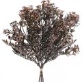 Rośliny sztuczne brązowa dekoracja jesienna dekoracja zimowa Drylook 38cm 3szt