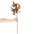Sztuczny koleus z czerwonymi liśćmi, roślina sztuczna, 20 cm | Floristik24.pl