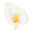 Sztuczna kalia z żółtymi pręcikami, kwiaty ozdobne, 35 cm, 10 sztuk | Floristik24.pl