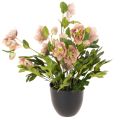 Floristik24 Sztuczna roślina doniczkowa Helleborus, róża bożonarodzeniowa, do dekoracji domu, 50 cm
