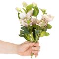 Sztuczna dekoracja kwiatowa w kształcie róży bożonarodzeniowej, bukiet 30 cm, 4 sztuki | Floristik24.pl