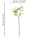 Sztuczny kwiat chryzantemy, kremowobiały bukiet, gałązka ozdobna, duży 56 cm, 4 sztuki | Floristik24.pl