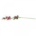 Floristik24 Gałązka powojnika z 5 kwiatami, kwiat sztuczny, gałązka ozdobna różowa, biała dł.84cm