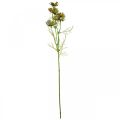 Floristik24 Kosz na biżuterię Cosmea zielone sztuczne letnie kwiaty 61cm