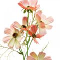 Floristik24 Kosz na biżuterię Cosmea Brzoskwinia sztuczne kwiaty letnie kwiaty 61cm