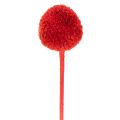 Suszone kwiaty Craspedii, barwione, z długimi łodygami, 55 cm, 20 sztuk | Floristik24.pl