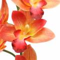 Floristik24 Sztuczny kwiat orchidei Cymbidium pomarańczowy 74cm