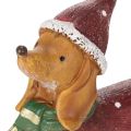 Dekoracyjna figurka jamnika z opakowaniem prezentowym i kapeluszem, 18 cm | Floristik24.pl
