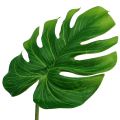 Floristik24 Deco Leaf Philo Leaf Green W11cm L29,5cm 3szt