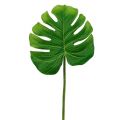 Floristik24 Deco Leaf Philo Leaf Green W11cm L29,5cm 3szt