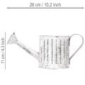 Konewka dekoracyjna, doniczka, konewka do sadzenia Ø10,5cm | Floristik24.pl