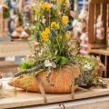 Floristik24 Dekoracyjna marchewka, betonowa dekoracja do sadzenia, Wielkanoc, marchewkowa doniczka, wiosenna dekoracja L28cm