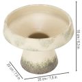Dekoracyjna miska ceramiczna, kremowo-szaro-zielona, Ø20cm, wys.16cm | Floristik24.pl