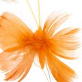 Motyle w pomarańczowej tonacji, wiosenna dekoracja wiosenne motyle na drucie 6szt