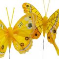 Floristik24 Motyle ozdobne żółte piórka motyle na druciku 7,5cm 6szt