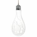 Floristik24 Lampka LED Deco Glow Brine ciepła biel 20cm