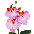 Floristik24 Deco Orchidea w doniczce różowa H29cm
