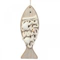 Floristik24 Deco rybka wisiorek drewniana rybka marynistyczna dekoracja drewno 6,5×19,5cm