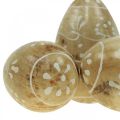 Floristik24 Jajka drewniane, jajka ozdobne, pisanki z drewna mango 8×5cm 6szt