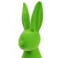 Floristik24 Ozdobne króliki zielone 30cm 2szt