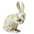 Floristik24 Dekoracyjne króliki siedzące stojące białe złoto wys. 12,5x16,5cm 2szt