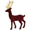 Floristik24 Deco Deer Renifer Bordeaux Złota figurka flokowana W37cm