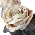 Róże dekoracyjne Kremowe białe sztuczne róże Jedwabne kwiaty Antyczny wygląd L65cm Opakowanie 3 szt