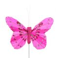 Floristik24 Deco motyl różowo-różowy sort. 6 cm 24 szt.
