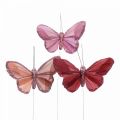 Floristik24 Dekoracyjny motyl na drucie piórko motyl różowy 10×6cm 12szt