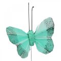 Floristik24 Dekoracyjny motyl na drucie zielony, niebieski 5-6cm 24szt