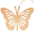 Dekoracyjny wieszak motylki pomarańczowo/różowo/żółty 12cm 12szt