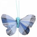 Deco motyle piórka motyl różowe, niebieskie 6cm 24szt