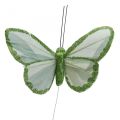 Floristik24 Motyle ozdobne zielone piórka na drucie 10cm 12szt