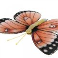 Floristik24 Dekoracyjne motyle z klipsem B4,5–11,5cm 10szt brązowo-pomarańczowe