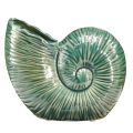 Floristik24 Wazon dekoracyjny z muszli ślimaka ceramiczny zielony 18x8,5x15,5cm