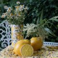 Deco cytrynowa ceramiczna dekoracja letnia dekoracja stołu 11cm