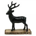 Floristik24 Deco Deer Deco Reindeer Metal Wood Czarny W25cm