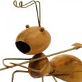 Floristik24 Figura dekoracyjna mrówka metal z grabiami dekoracja ogrodowa rdza 21,5cm