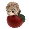 Floristik24 Figurka dekoracyjna jeż na jabłku 7,5cm ceramika