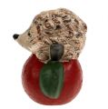 Floristik24 Figurka dekoracyjna jeż na jabłku 7,5cm ceramika