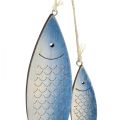Floristik24 Ozdobny wieszak na rybki w kolorze niebiesko-białym z łuskami 11,5/20 cm, zestaw 2 szt