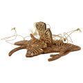 Floristik24 Deco wieszak drewniany miłorząb deco liść miłorzębu złoty 5x6,5cm 12 sztuk
