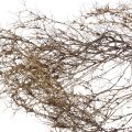 Floristik24 Deco gałęzie Iron Bush gałęzie naturalna dekoracja drewno natura 250g