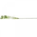 Floristik24 Koperek kwitnący, sztuczna roślina, sztuczne zioła zielony, biały dł.80cm
