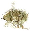 Floristik24 Girlanda osetowa Globe osetowa sztuczna dekoracja roślinna girlanda 127cm