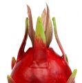 Floristik24 Smoczy owoc 15cm Czerwony 1szt