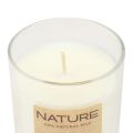 Floristik24 Świeca zapachowa w szklanym wosku naturalnym Wenzel Candles Magnolia 85×70mm
