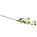 Floristik24 Echinacea kwiat sztuczny biały 90cm
