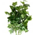 Floristik24 Bluszcz sztuczny zielony 50cm Sztuczna roślina jak prawdziwa!